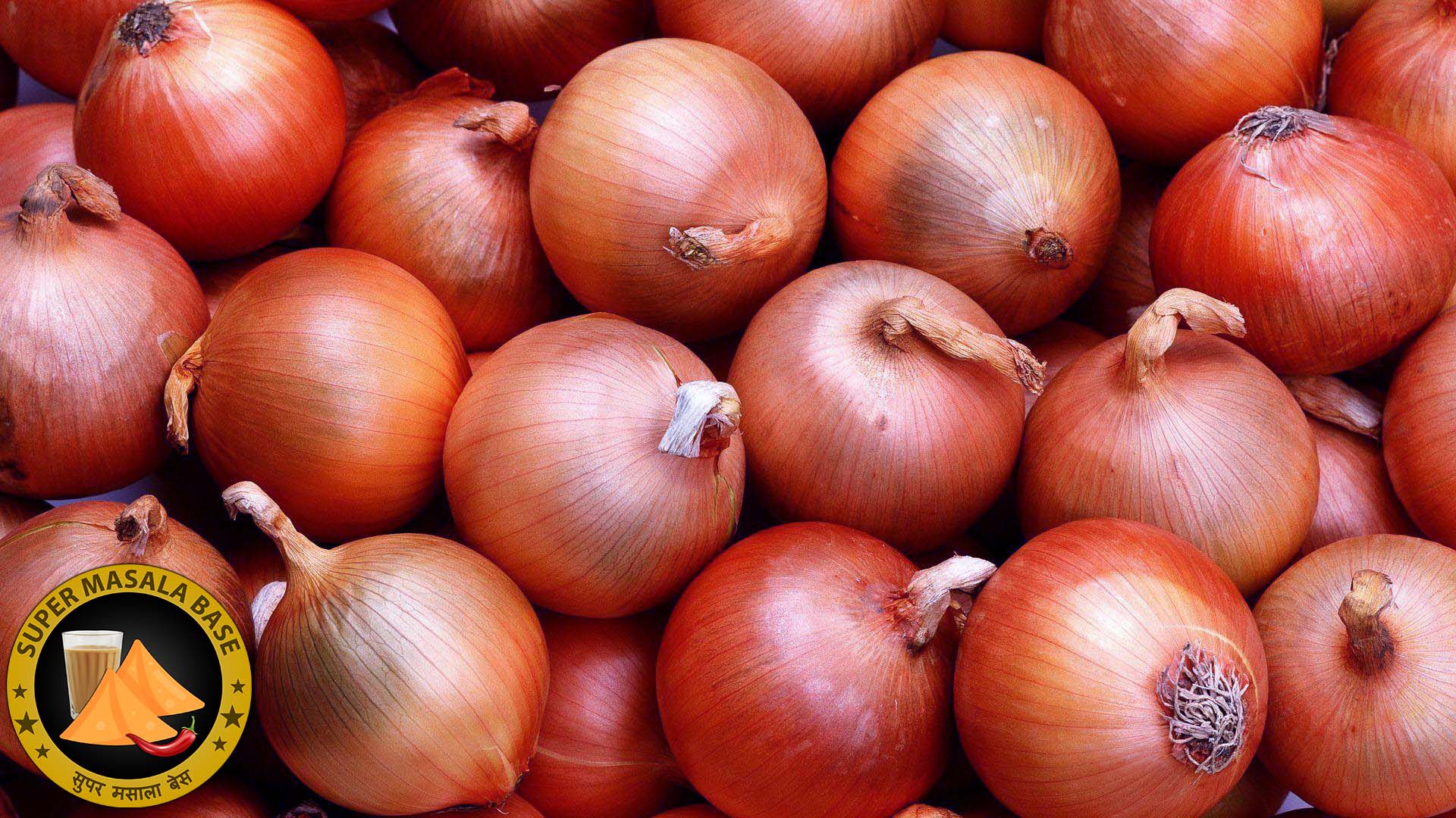 pyaaj pyaz red onions lot